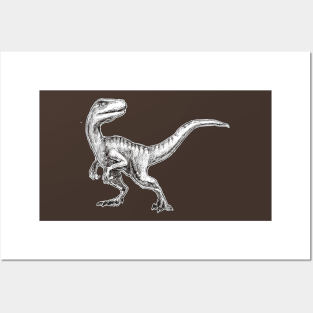 Velociraptor Posters and Art